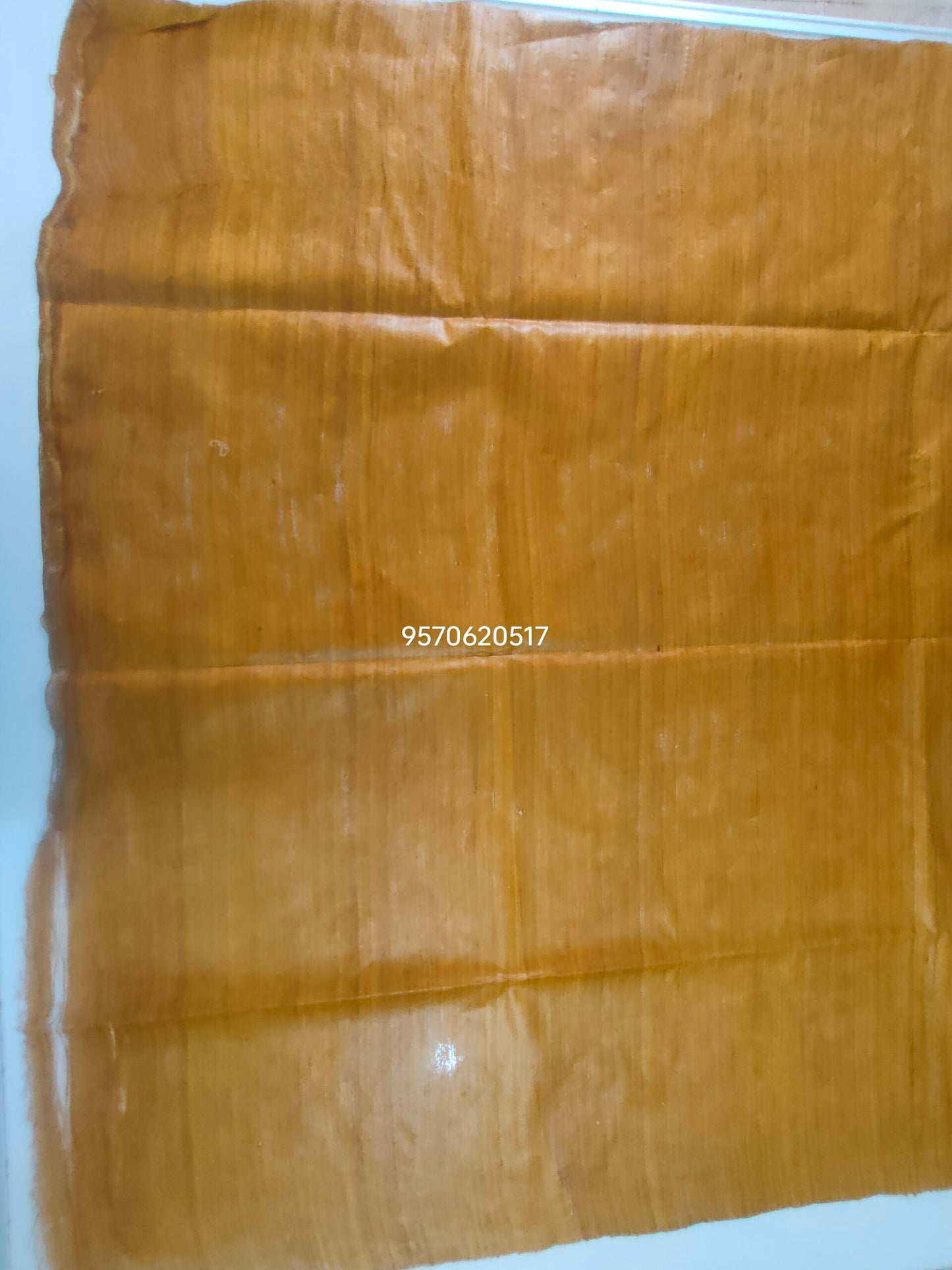Pure Silk Tussar Ghicha Screen Printed Saree image 7